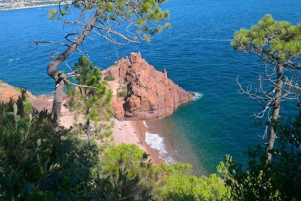 2 Pieces Climatise A 200M Des Plages Théoule-sur-Mer Exterior foto