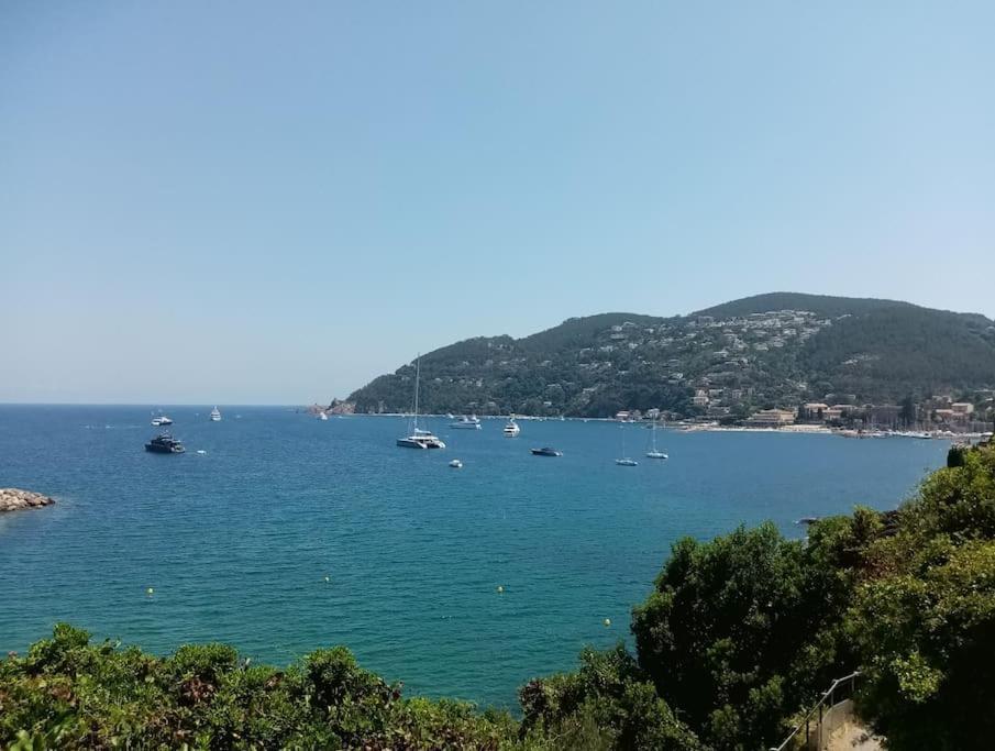 2 Pieces Climatise A 200M Des Plages Théoule-sur-Mer Exterior foto